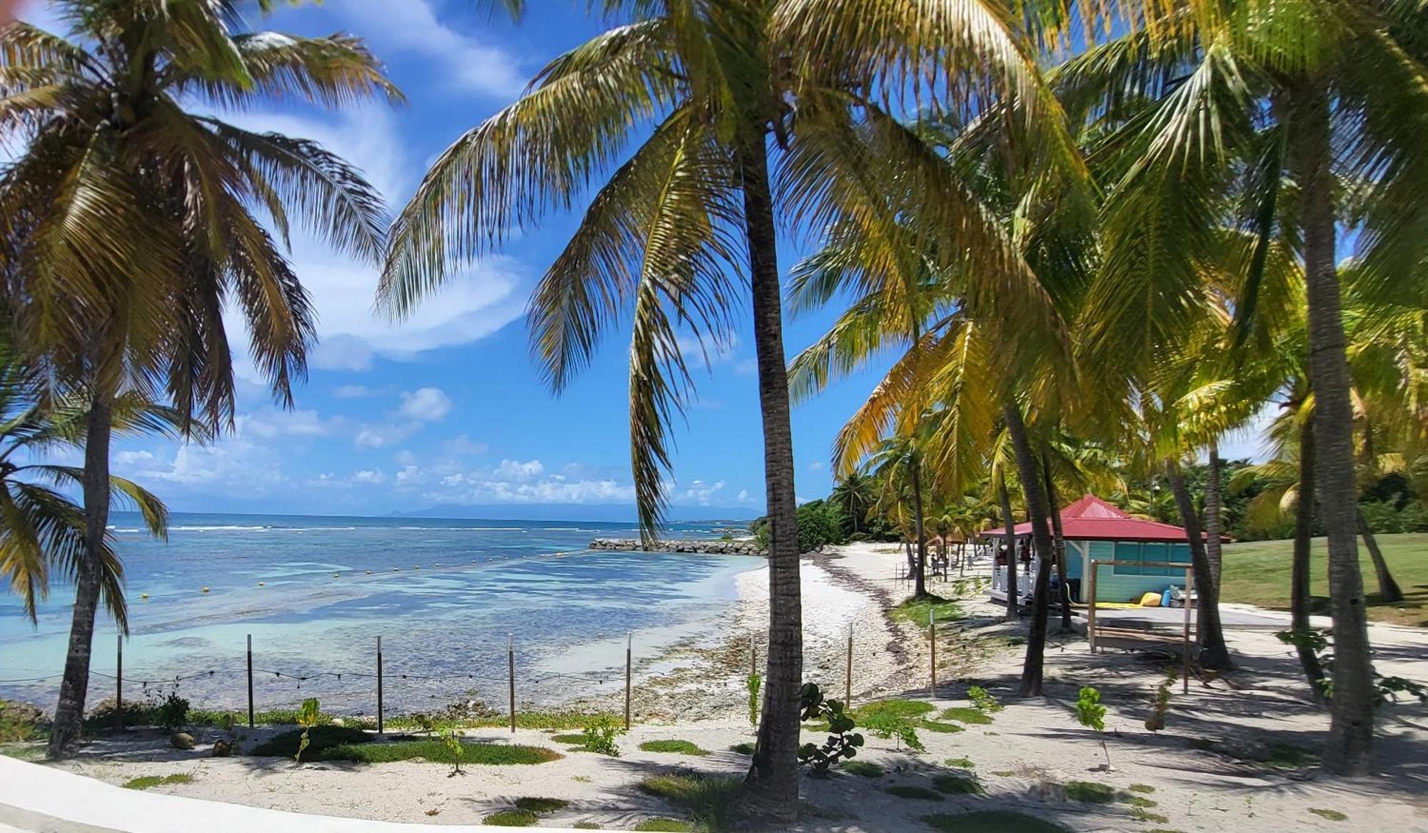 Courcelles Studios Angoreva Vue Mer - Cote Plage Ou Jardin - Village Vacances - Sainte-Anne Guadeloupe מראה חיצוני תמונה