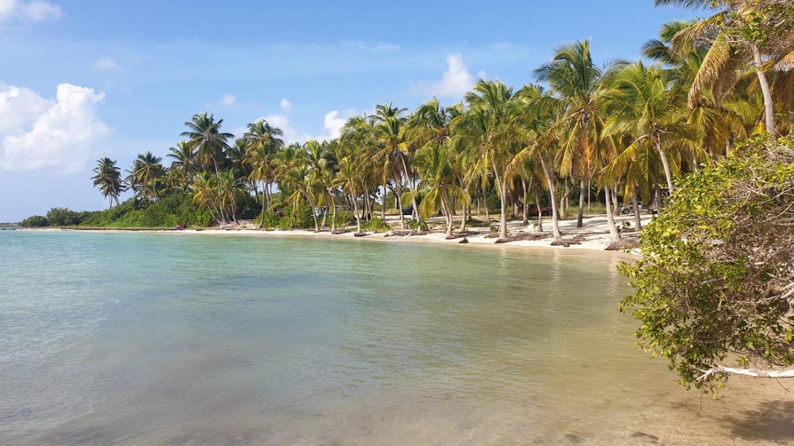 Courcelles Studios Angoreva Vue Mer - Cote Plage Ou Jardin - Village Vacances - Sainte-Anne Guadeloupe מראה חיצוני תמונה