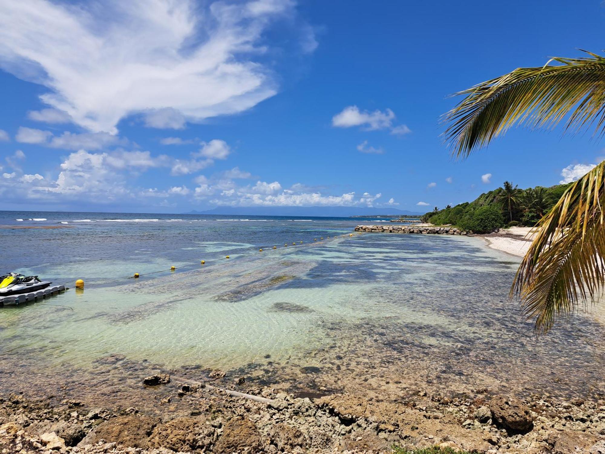 Courcelles Studios Angoreva Vue Mer - Cote Plage Ou Jardin - Village Vacances - Sainte-Anne Guadeloupe מראה חיצוני תמונה